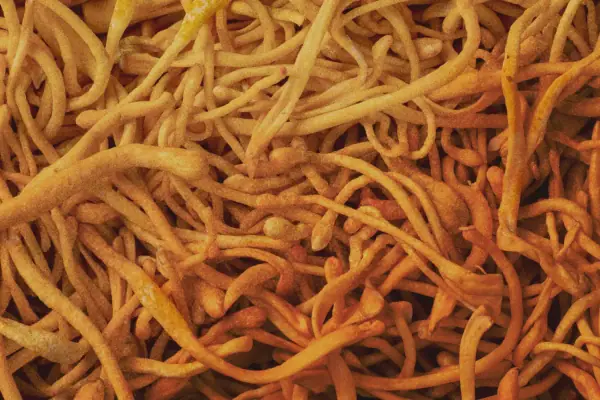 Cordyceps CS-4, militaris i sinensis: co znaczą nazwy na etykiecie