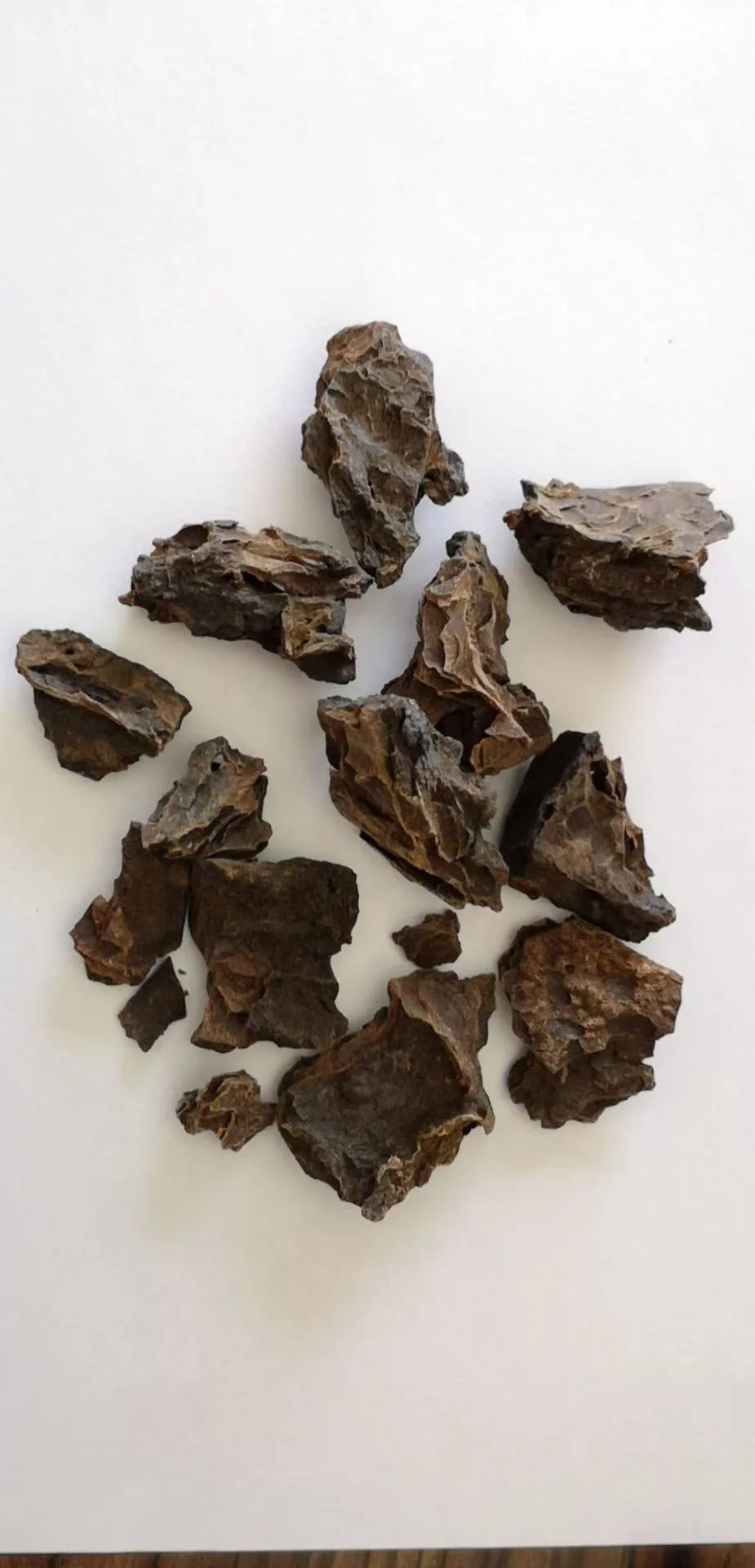 Liquid-fermented CS-4 / Paecilomyces hepiali mycelial biomass after separation