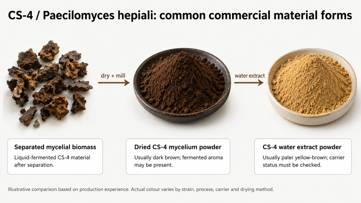 CS-4 / Paecilomyces hepiali material forms