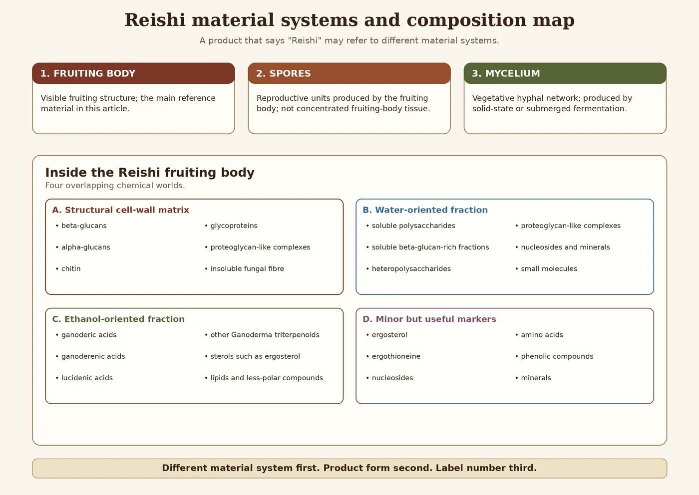 Mapa systemów materiałowych i składu Reishi przedstawiająca owocnik, zarodniki i grzybnię