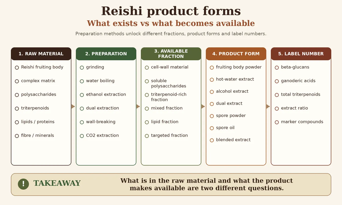 Diagram porównujący to, co istnieje w surowcu Reishi, z tym, co produkt udostępnia